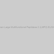 Image of Human Large Multifunctional Peptidase 2 (LMP2) ELISA Kit